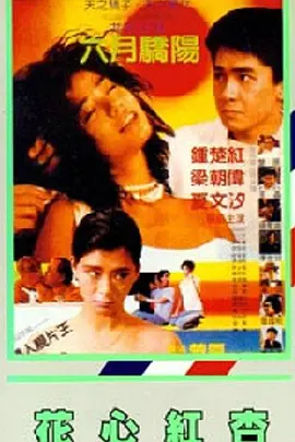 国产色婷婷精品综合在线
